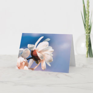 Cartão Primavera magnólia floresce