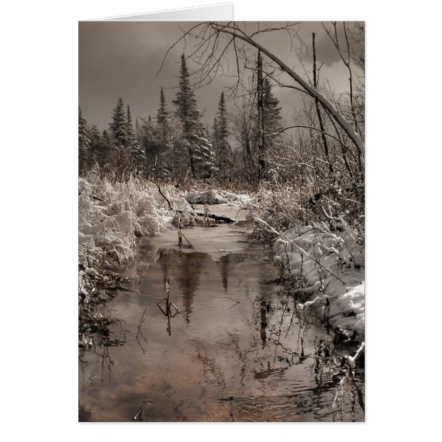 Cartão primavera manhã (Frente)