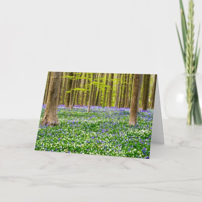 Cartão Primavera na Floresta Azul (Frente)