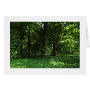 Cartão Primavera no bosque 02 (bordado)