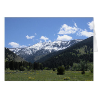 Cartão Primavera no vale