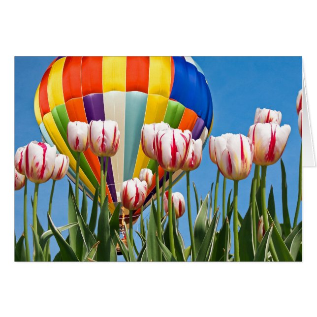 Cartão Primavera Ride (Frente horizontal)