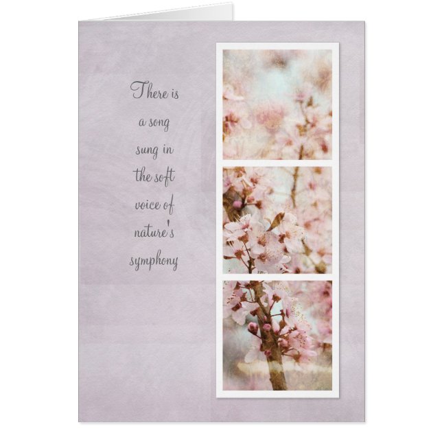 Cartão Primavera Romance Cherry Blossoms (Frente)