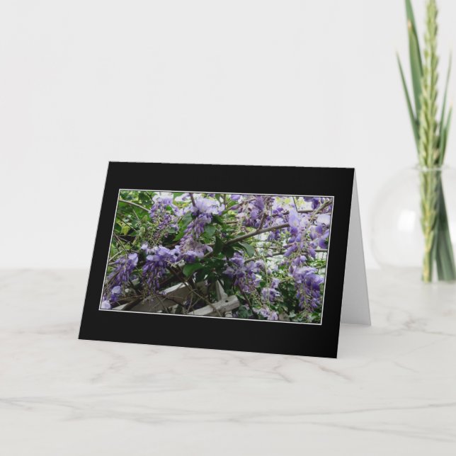 Cartão "Primavera selvagem " (Frente)