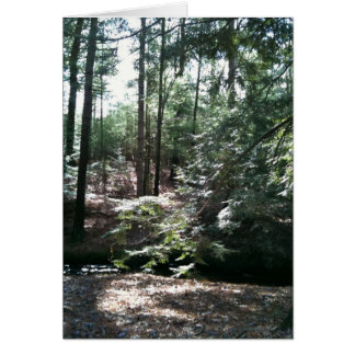 Cartão Primavera Stroll