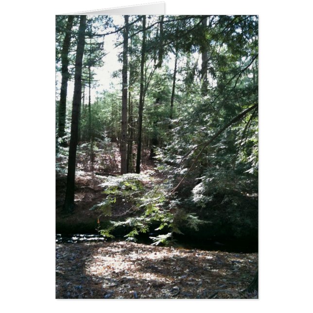 Cartão Primavera Stroll (Frente)