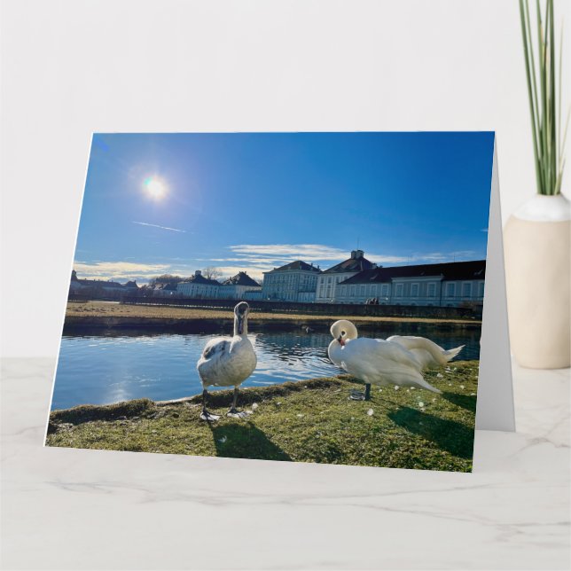 Cartão Primavera Sun (Frente)