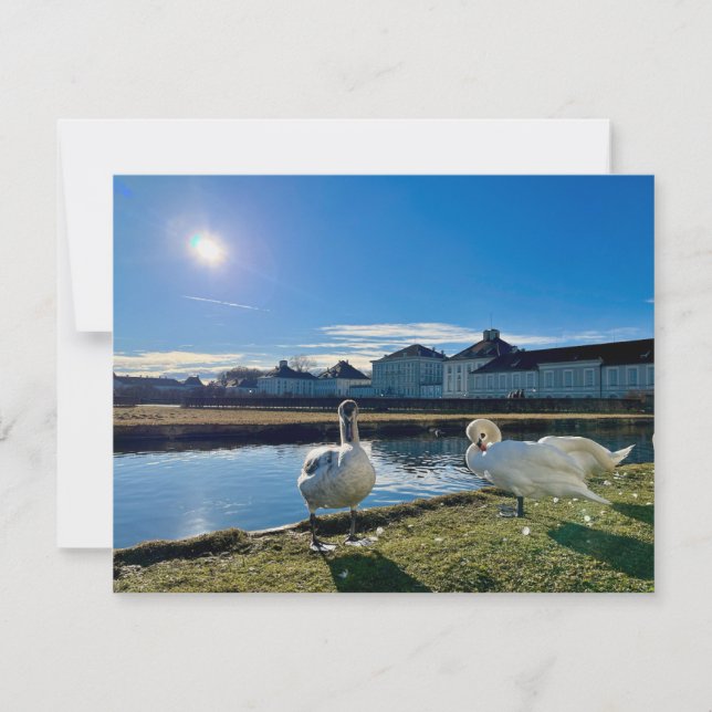 Cartão Primavera Sun (Frente)