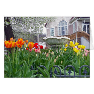 Cartão Primavera Tulipas