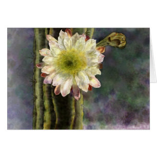 Cartão Primeira luz da manhã