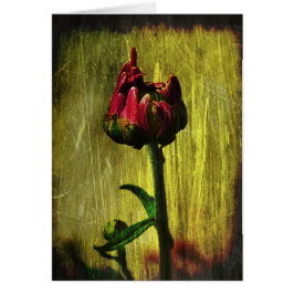 Cartão Primeira mãe