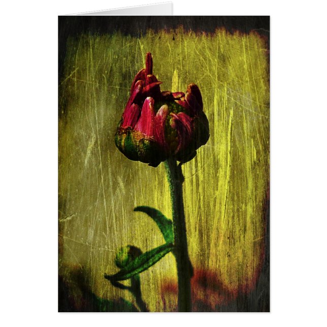 Cartão Primeira mãe (Frente)