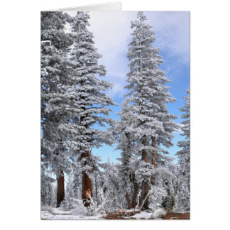 Cartão Primeira queda de neve