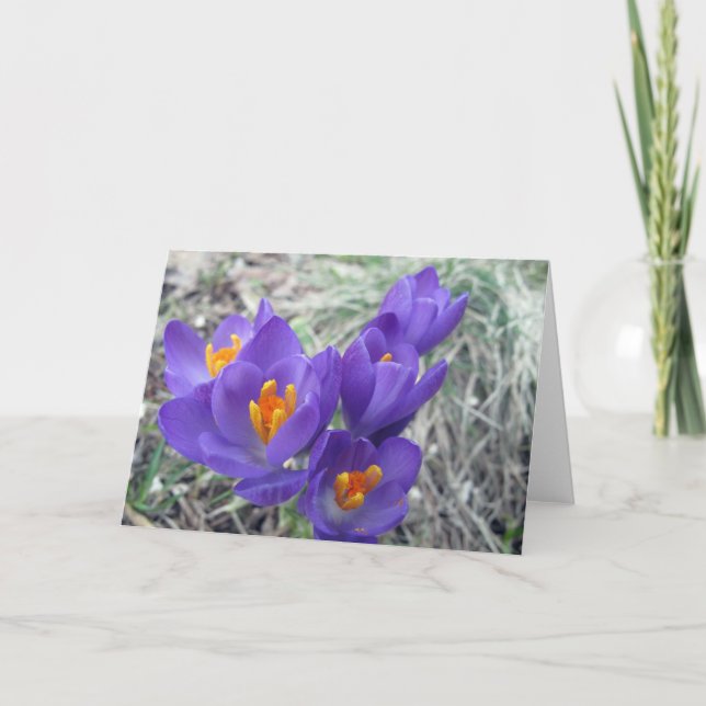 Cartão Primeiras flores do primavera (Frente)