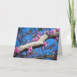 Cartão Primeiro dia do primavera