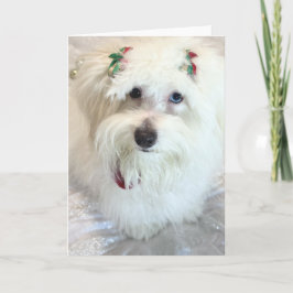 Cartão Primeiro Natal