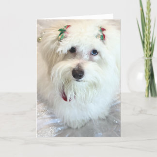 Cartão Primeiro Natal