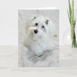 Cartão Primeiro Natal