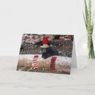 Cartão Primeiro Natal do Cubs