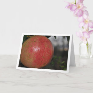 Cartão Primeiro plano da fruta da romã na árvore