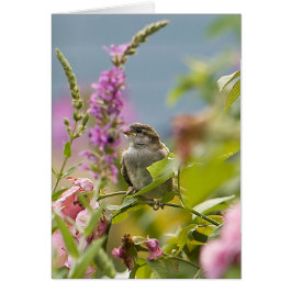 Cartão Primeiro Primavera