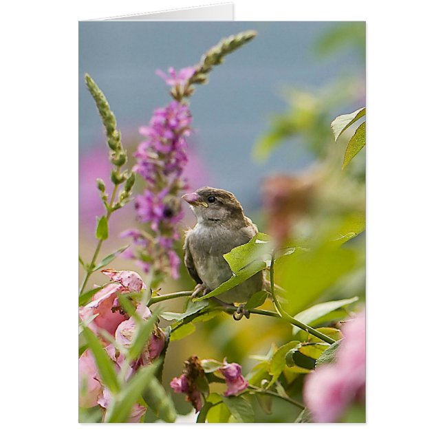 Cartão Primeiro Primavera (Frente)