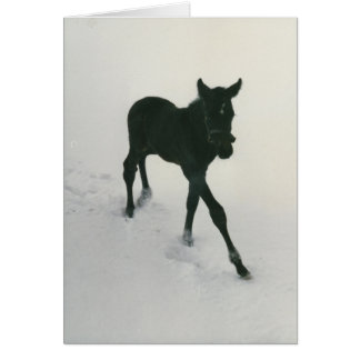 Cartão Primeiros passos na neve