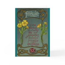 Prímula & ametista do aniversário de fevereiro