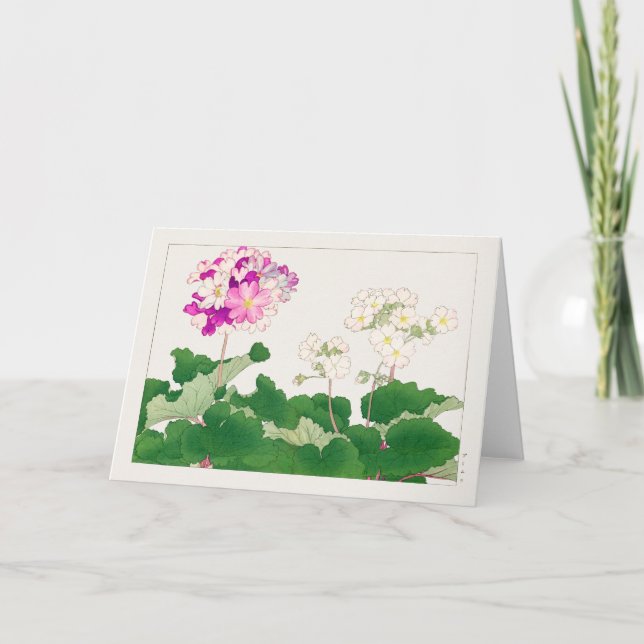 Cartão Primula de Tanigami Konan (Frente)