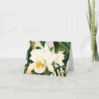 Cartão PRINCESS-Orchid BRANCA 2,95