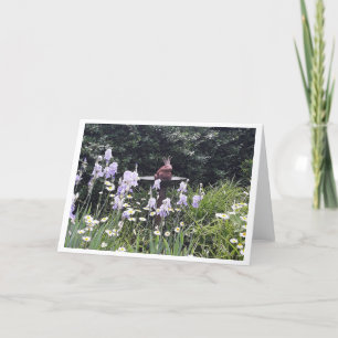 Cartão Príncipe Sapo Romântico e Flores em Branco
