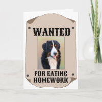 Procurado Por Comer Foto Personalizada De Cão De T