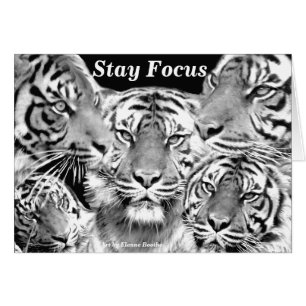 Cartão Produto Focus_card