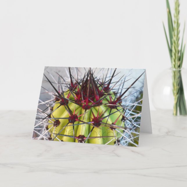 Cartão Produtos vermelhos das espinhas (Frente)