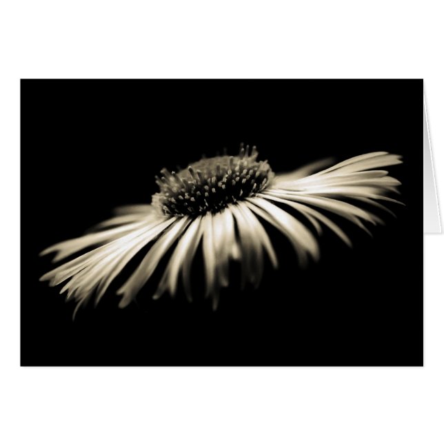 Cartão Profundidade de Pureza (Frente Horizontal)