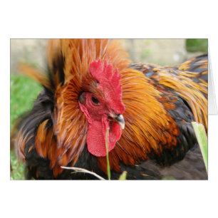 Cartão Profundidade do vento