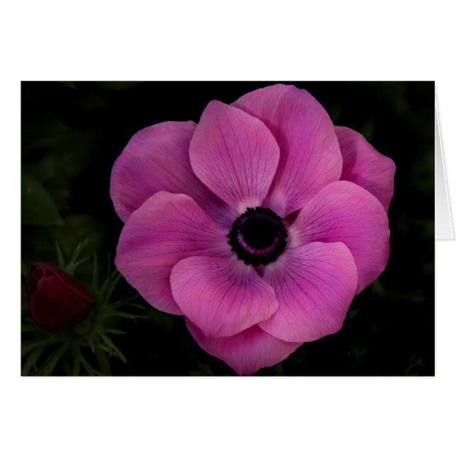 Cartão Profundo (Frente Horizontal)