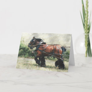 Cartão Projeto de aniversário da equipe de cavalos