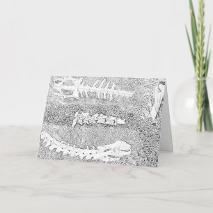 Cartão Projeto de Coloração de Ossos