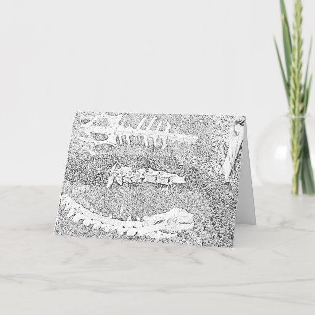 Cartão Projeto de Coloração de Ossos (Frente)