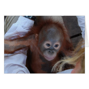 Cartão Promessa aos órfão dos animais selvagens