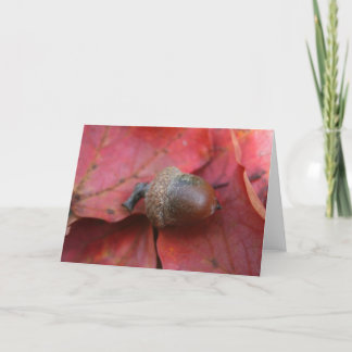 CARTÃO PROMESSA DE AUTUMNS