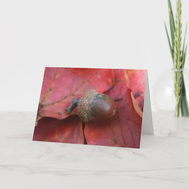 CARTÃO PROMESSA DE AUTUMNS (Frente)