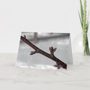 Cartão Promessa de Primavera