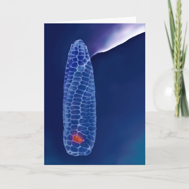 Cartão PROMETHEUS (cartão) (Frente)