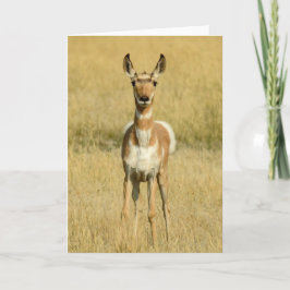 Cartão Pronghorn Notecard