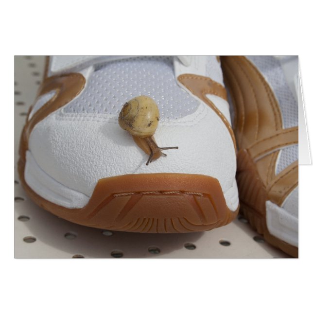 Cartão Pronto Para Corrida De Caracol (Frente Horizontal)