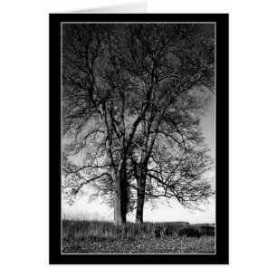 Cartão Pronto para o inverno