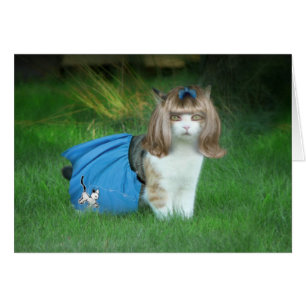 Cartão Pronto para o Salto!