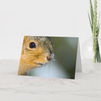 Cartão Pronto para Primavera